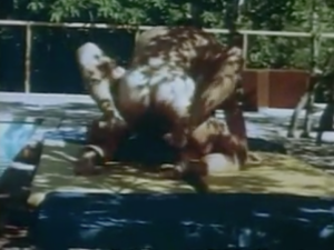 A scene from Boys in the Sand. Casey Donovan is getting fucked by the pool during the Poolside scene.