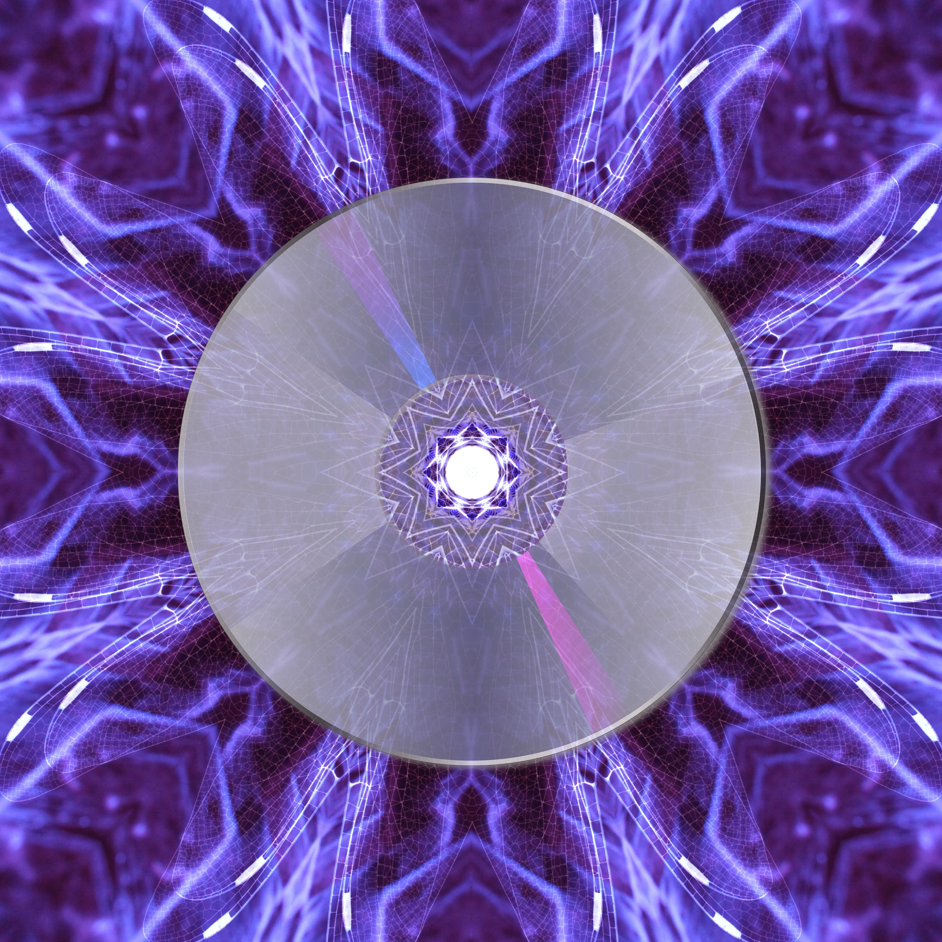 The Spin Logo